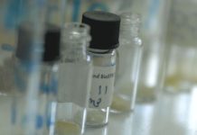 WHO Urges Action Against Substandard and Falsified Medical Products