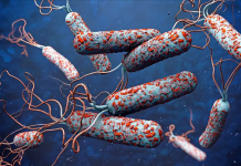 वीरगञ्जमा हैजाको प्रकोप: एकै सातामा सयौँ बिरामी, अस्पतालहरूमा चाप