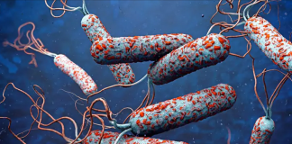 वीरगञ्जमा हैजाको प्रकोप: एकै सातामा सयौँ बिरामी, अस्पतालहरूमा चाप