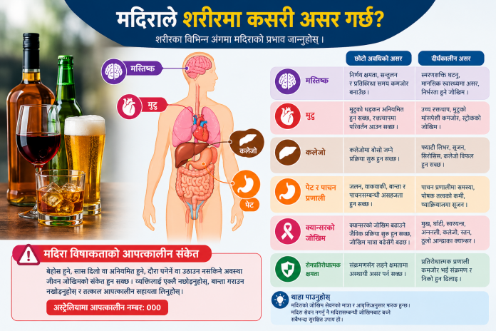 Alcohol’s Harmful Effects Infographic